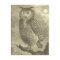 Spooky Vintage Halloween Eagle Owl Postcard