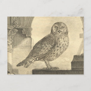 Spooky Vintage Halloween Owl Postcard