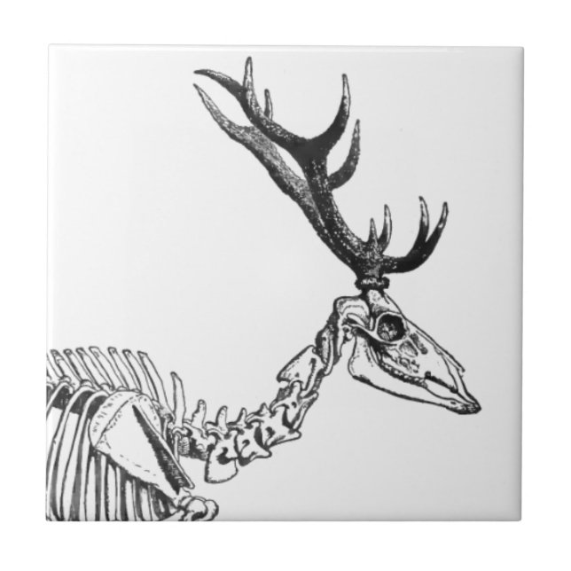 Spooky vintage skeleton reindeer drawing tile (Front)