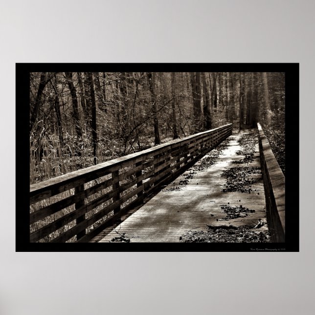 Spooky Walking Bridge Poster (Front)
