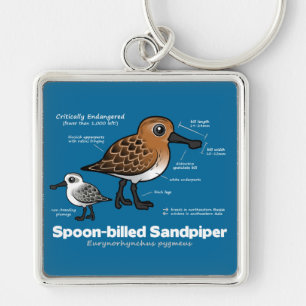 Spoon-billed Sandpiper Statistics Keychain