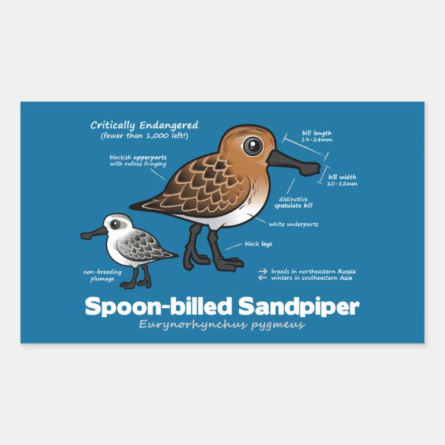 Spoon-billed Sandpiper Statistics Sticker (Front)