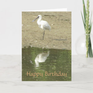 Spoonbill Birthday Card