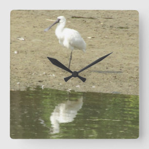 Spoonbill Clock