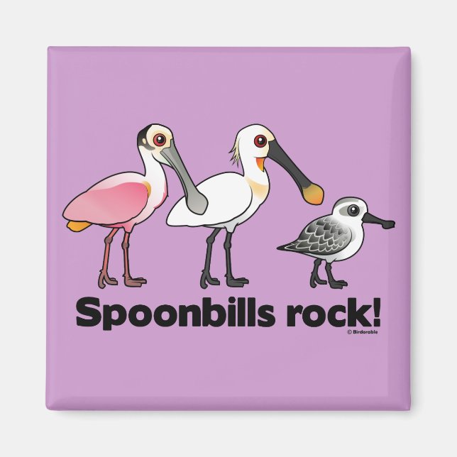 Spoonbills Rock! Magnet (Front)