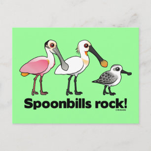 Spoonbills Rock! Postcard