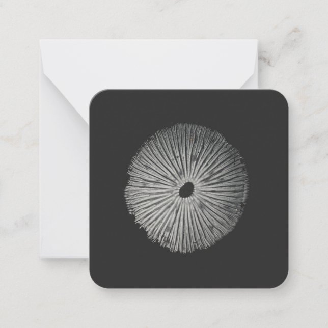 Spore Print Note Card (Front)