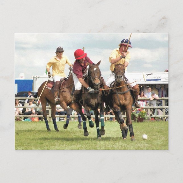 SPORTING HORSES POSTCARD (Front)