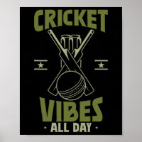 Sports Cricket Player Cricket Vibes