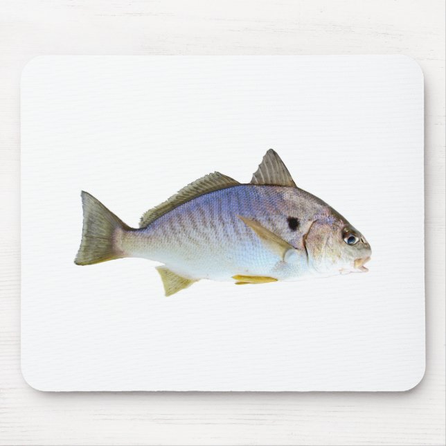 Spot Fish Photo Mouse Pad (Front)