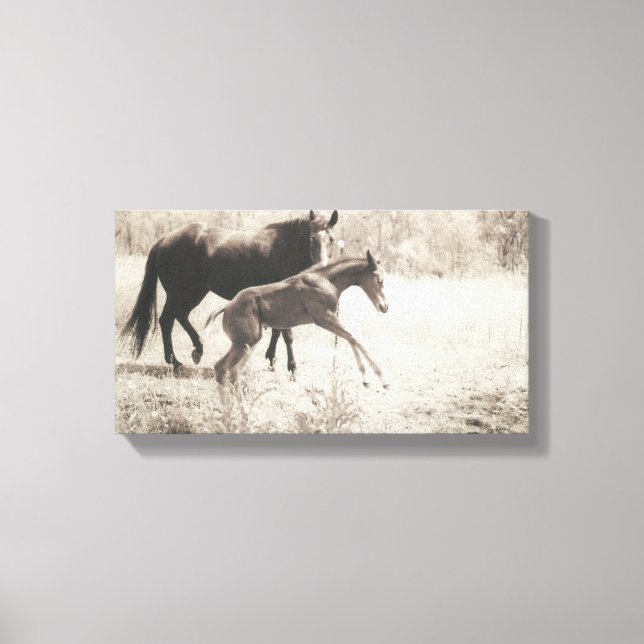 Spot Plays Canvas Print (Front)