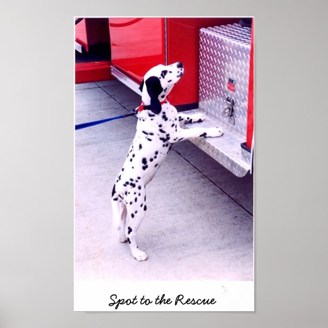 Spot to the Rescue Poster (Front)