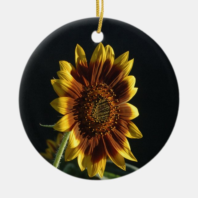 Spotlight on A Beautiful Sunflower Ceramic Ornament (Front)