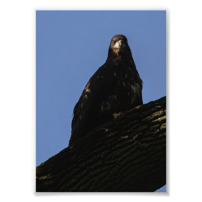 Spotlight Photo Print (Front)