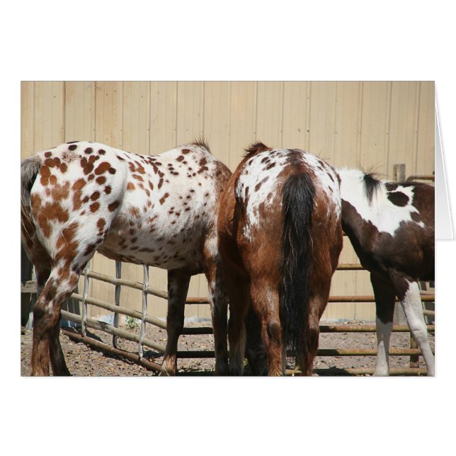 "Spots" (Front Horizontal)