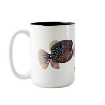 Spotted Boxfish couple, Ostracion meleagris