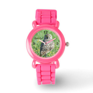 Spotted burrowing Owl Watch