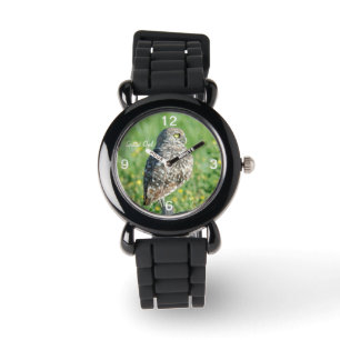 Spotted burrowing Owl Watch