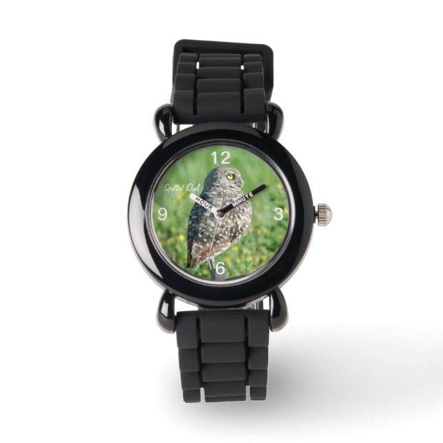 Spotted burrowing Owl Watch (Front)