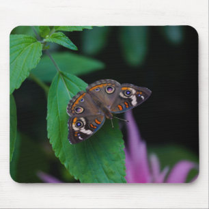 Spotted Butterfly Mouse Pad