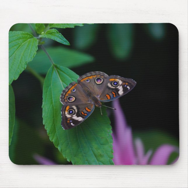 Spotted Butterfly Mouse Pad (Front)