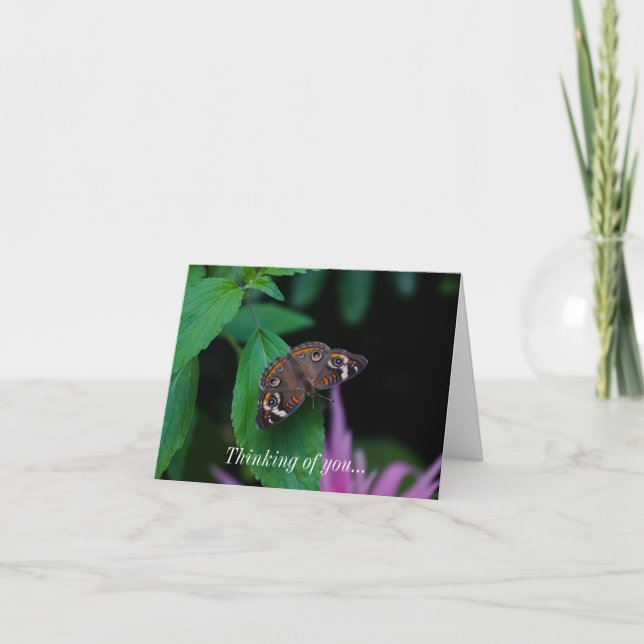 Spotted Butterfly Thinking Of You Card (Front)