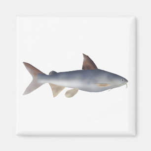 Spotted Catfish Magnet