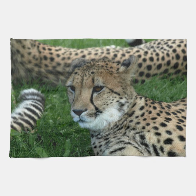 Spotted Cheetah Kitchen Towel (Horizontal)