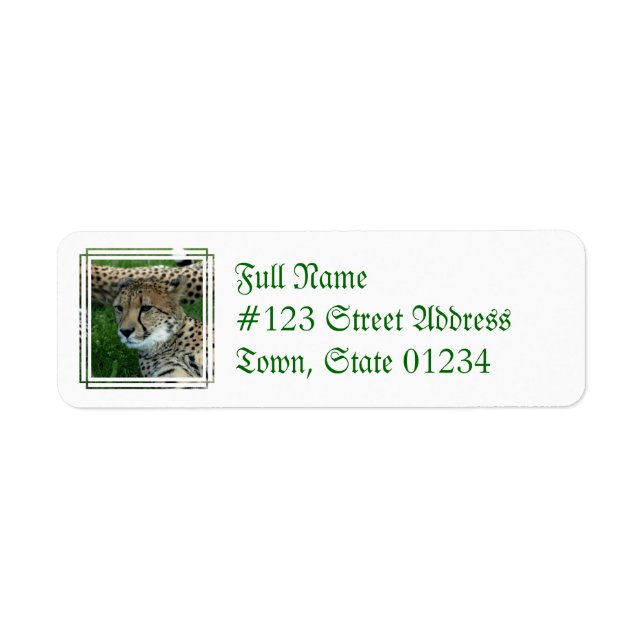 Spotted Cheetah Mailing Label (Front)