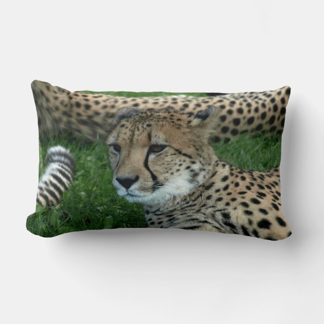 Spotted Cheetah Pillow (Front)
