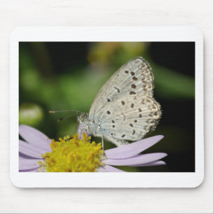 Spotted Cream Coloured Butterfly Mouse Pad