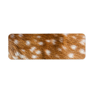 Spotted deer fur texture