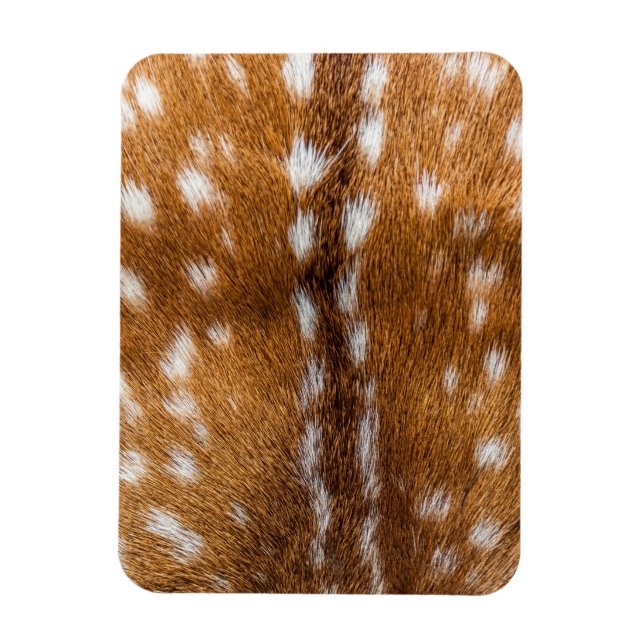 Spotted deer fur texture magnet (Vertical)