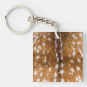Spotted deer pour texture