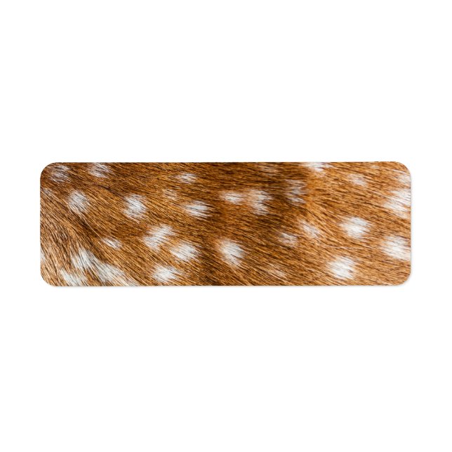 Spotted deer pour texture (Devant)