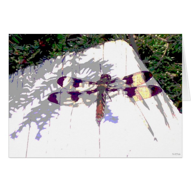 Spotted Dragonfly (Front Horizontal)