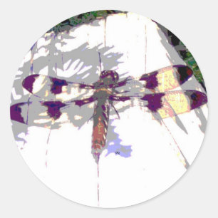 Spotted Dragonfly Sticker