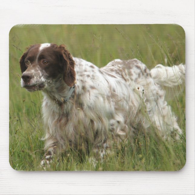 Spotted English Setter Dog Mouse Pad (Front)