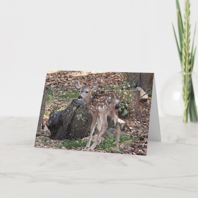 Spotted Fawn Blank Greeting Card (Front)