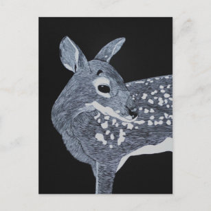 Spotted Fawn Postcard