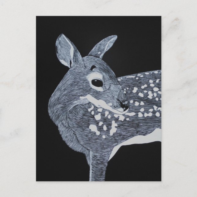 Spotted Fawn Postcard (Front)