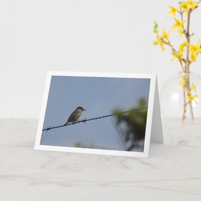 Spotted Flycatcher Bird Card (Yellow Flower)