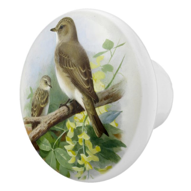 Spotted Flycatchers, Art Illustration Ceramic Knob (Right)