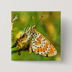 Spotted Fritillary Orange and White Butterfly 2 Inch Square Button