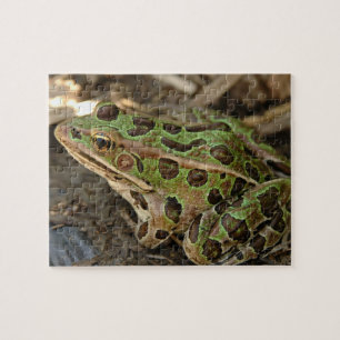 Spotted Frog Jigsaw Puzzle