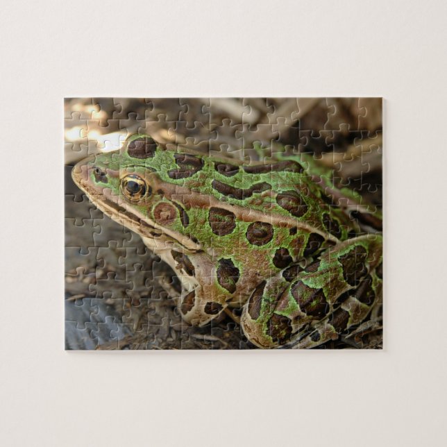 Spotted Frog Jigsaw Puzzle (Horizontal)