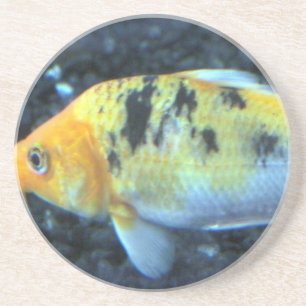 Spotted Goldfish Coaster