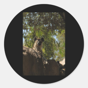 Spotted Hyena Nature Lovers Valencia Vertical Stic Classic Round Sticker
