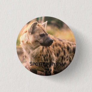 Spotted hyena:Savannah sunset 1 Inch Round Button