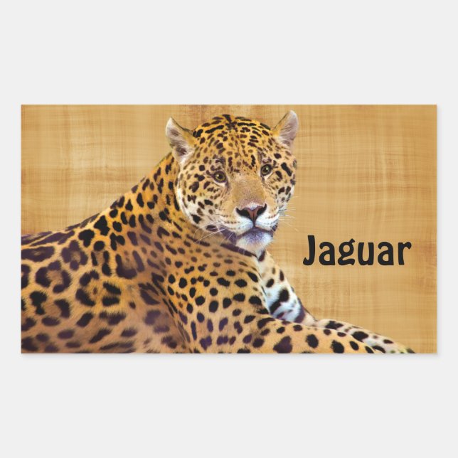 Spotted Jaguar Big Cat-lover #Gift Sticker (Front)